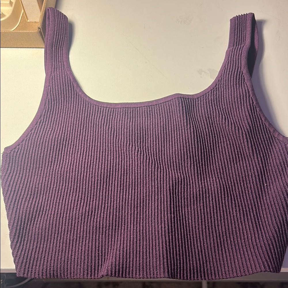 Aritzia Purple Ribbed Women's Top